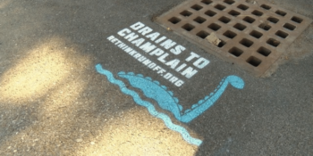 A drain grate with a blue dinosaur painted on it