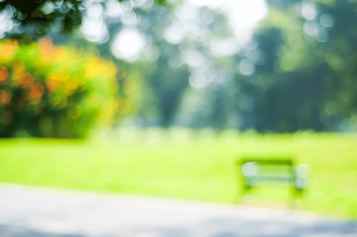 example of a blurry photo of a park bench